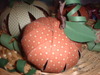 Pumkin_closeup