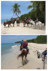 SU Cruise Day 7: St. Croix horseback ride