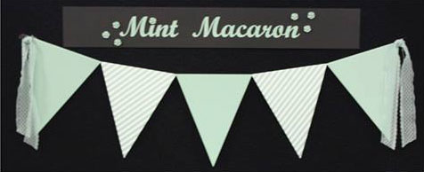 Mint Macaroon