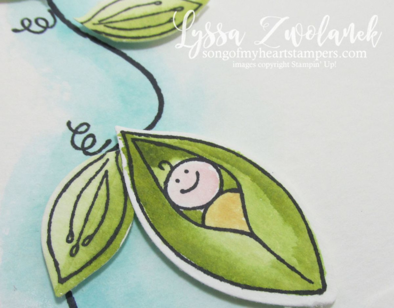 DIY new baby card Sweet Pea Friends and Flowers from Stampin Up www.songofmyheartstampers.com