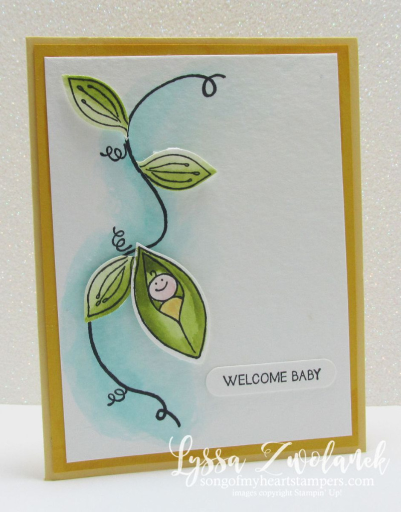 Sweet Pea Friends & Flowers New Baby Card DIY #stampinup www.songofmyheartstampers.com 