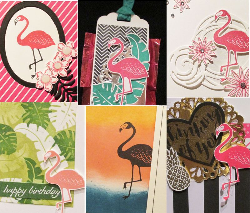 Flamingo ideas from stampin up cardmaking