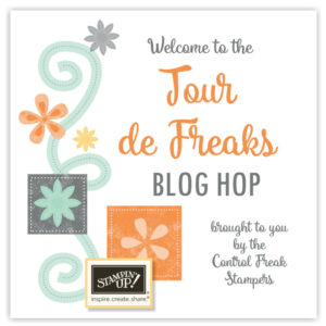 Blog Hoppin’ with the Control Freaks! February 2017