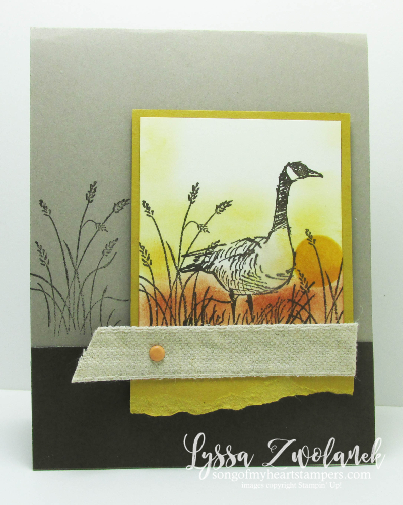 Wetlands masculine card canada goose canadian geese nature natural guy Stampin Up Lyssa