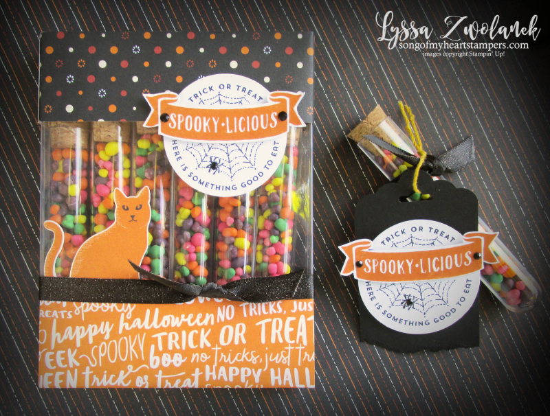 Halloween treat tubes candy holders acetate card boxes stampin up Lyssa Nerds M&M cat punch