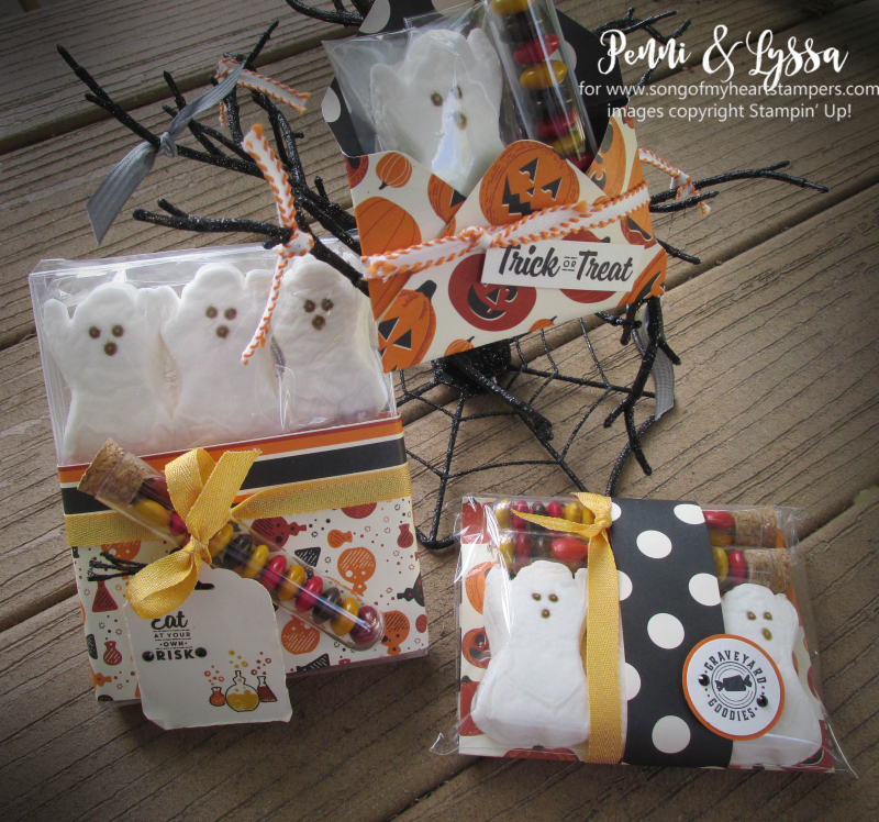 Halloween peeps gift holders packaging boxes envelopes stampin up Spooky Night test tubes cocoa