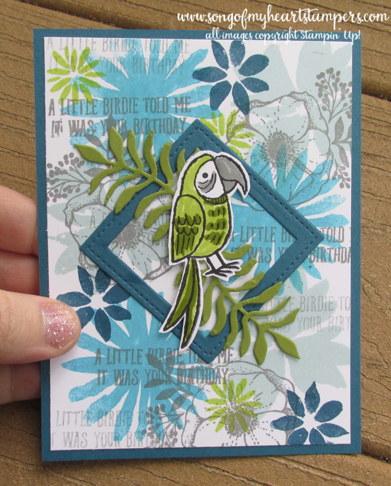 Bird banter stamp set birdies cockatoo parrot peacock parakeet early belated birthday card