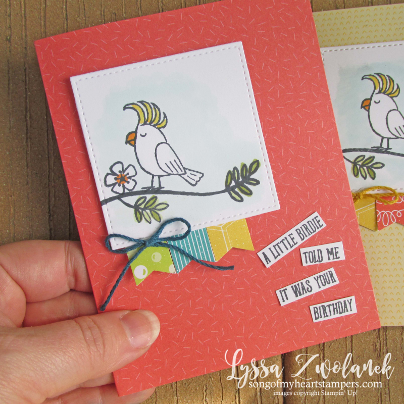 Bird banter retiring list stampin up tutti frutti cards envelopes SAB cockatoo parrot toucan stamp