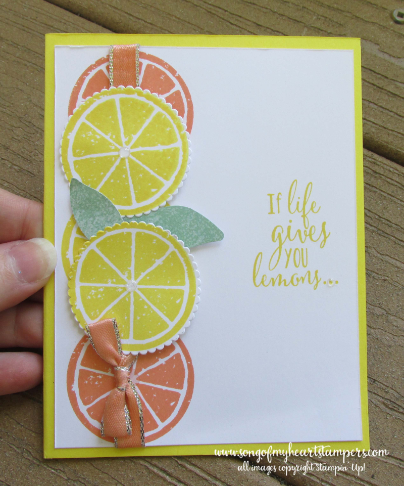 Lemon zest lime grapefruit orange stamp punch bundle Lyssa stampin Up shop