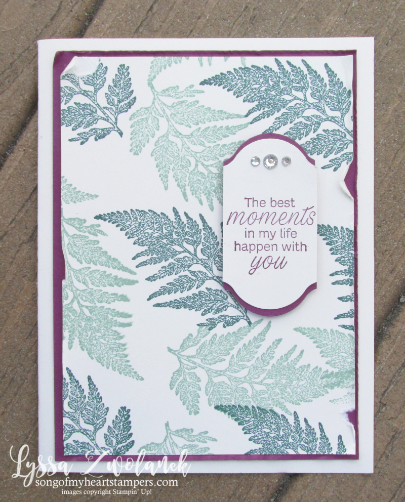 Daisy Lane stampin up fern rubber stamps layout techniques sketches Lyssa