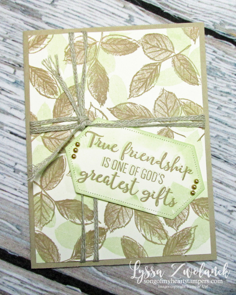 True friendship wild rose Stampin Up masculine cards stamps backgrounds techniques paper strips