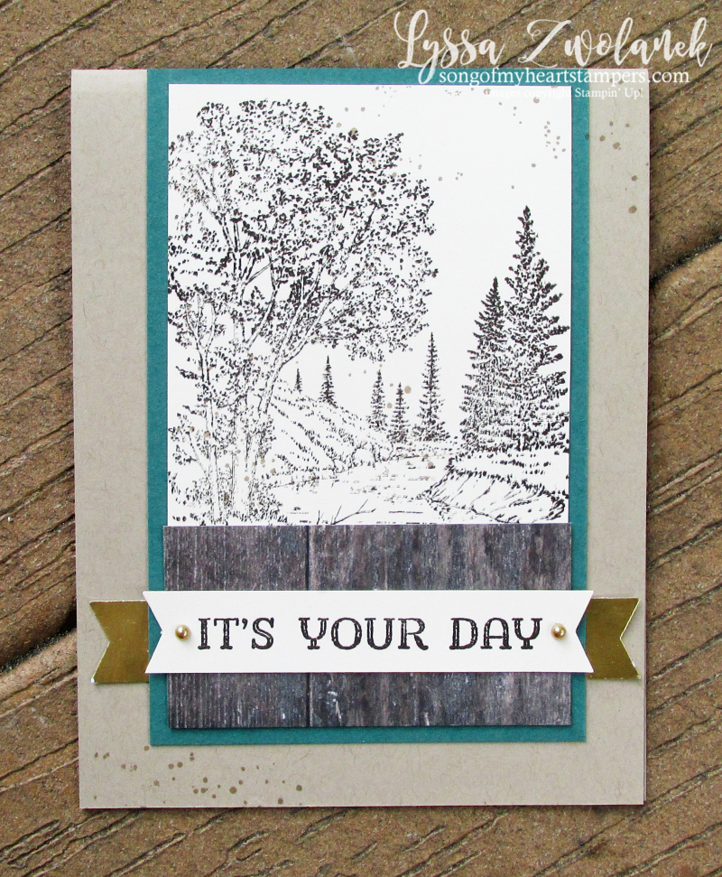 Peaceful Place fathers day masculine guy card Stampin Up rubber stamps cardmaking