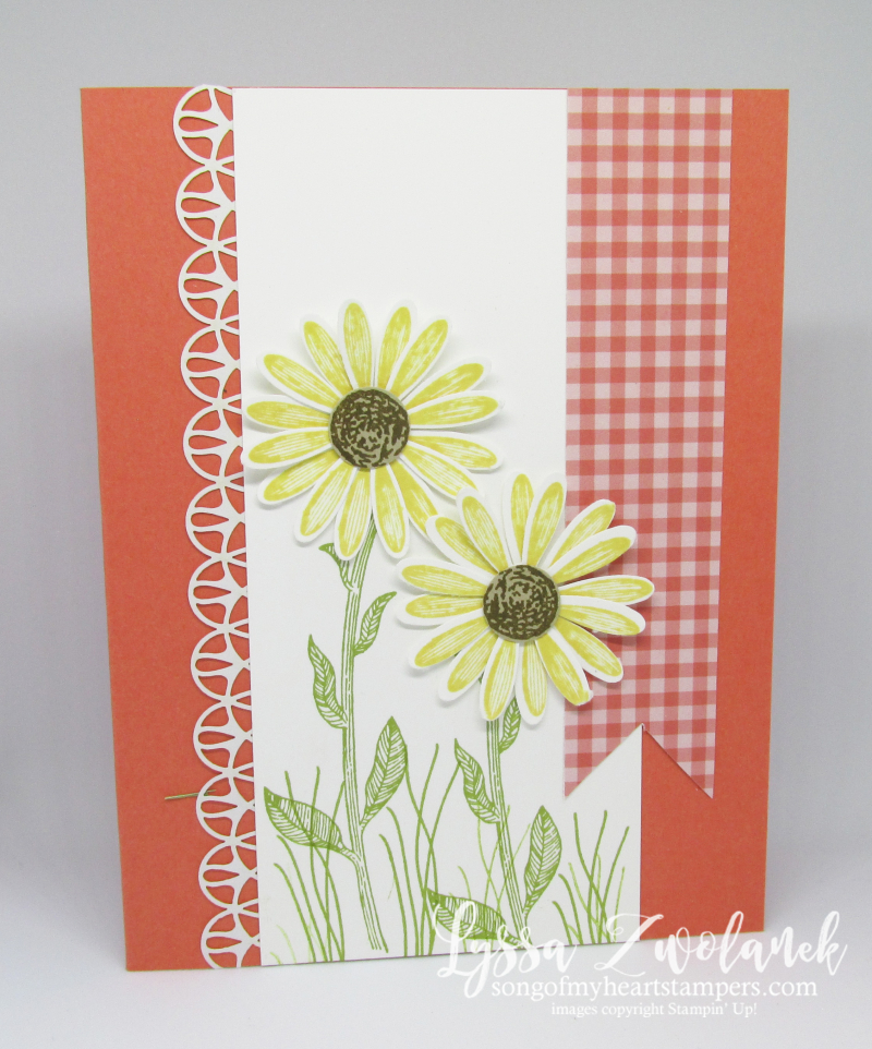 Daisy Lane medium daisies punch delight Stampin Up lace stamp DIY crafting