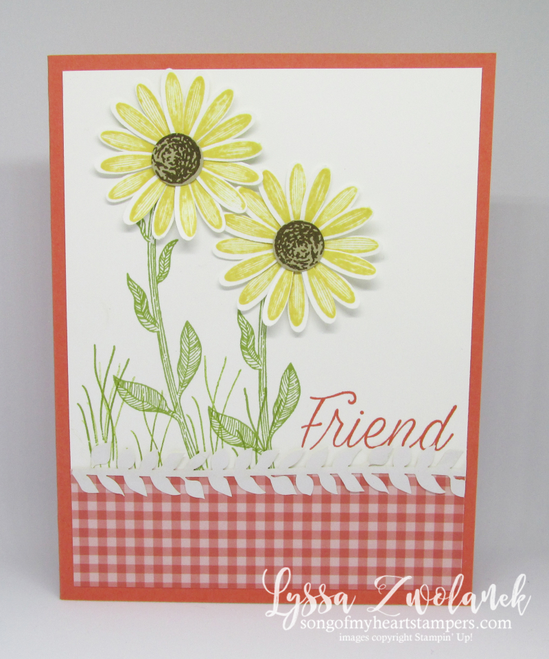 Daisy Lane medium daisies punch delight Stampin Up vine lace stamp DIY crafting