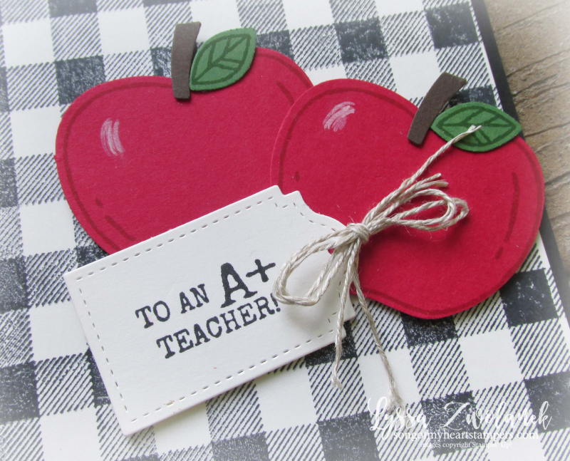 Harvest Hello farmhouse buffalo plaid check apple builder punch Stampin Up stamps teachers apples