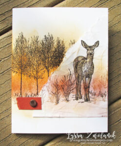 Will you be getting this card from me? Deer in the Woods