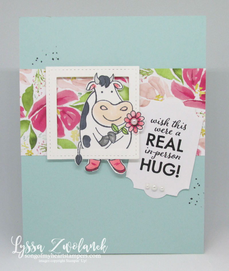 Quarantine funnies Stampin Up giveback wish real hug COVID birthday