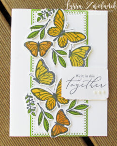 Learn to make these colorful butterfly cards for your friends!