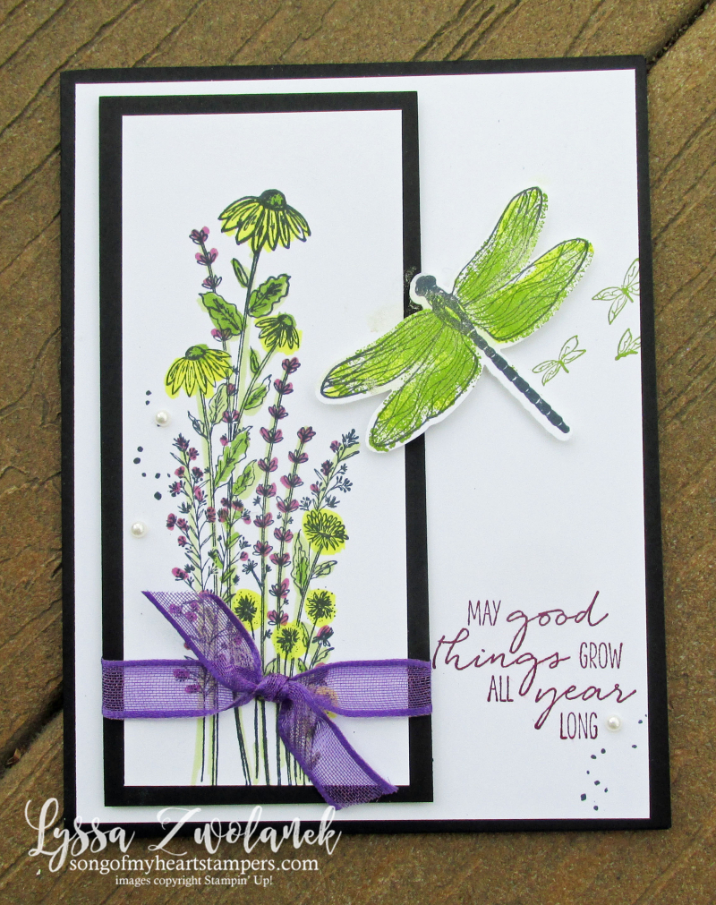 Dragonfly Garden black white apple green Stampin Up Lyssa layout sketches tutorials cards rubber stamps