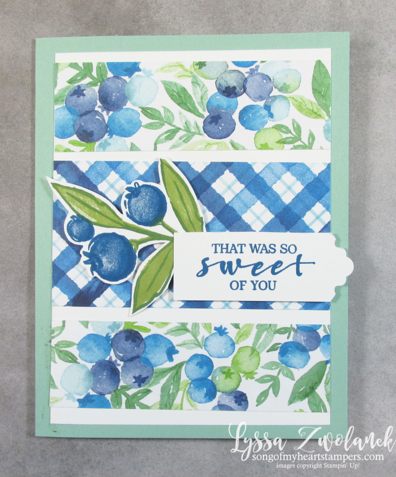 Blueberry blessings Saleabration Stampin Up plaid basket card stamps papers