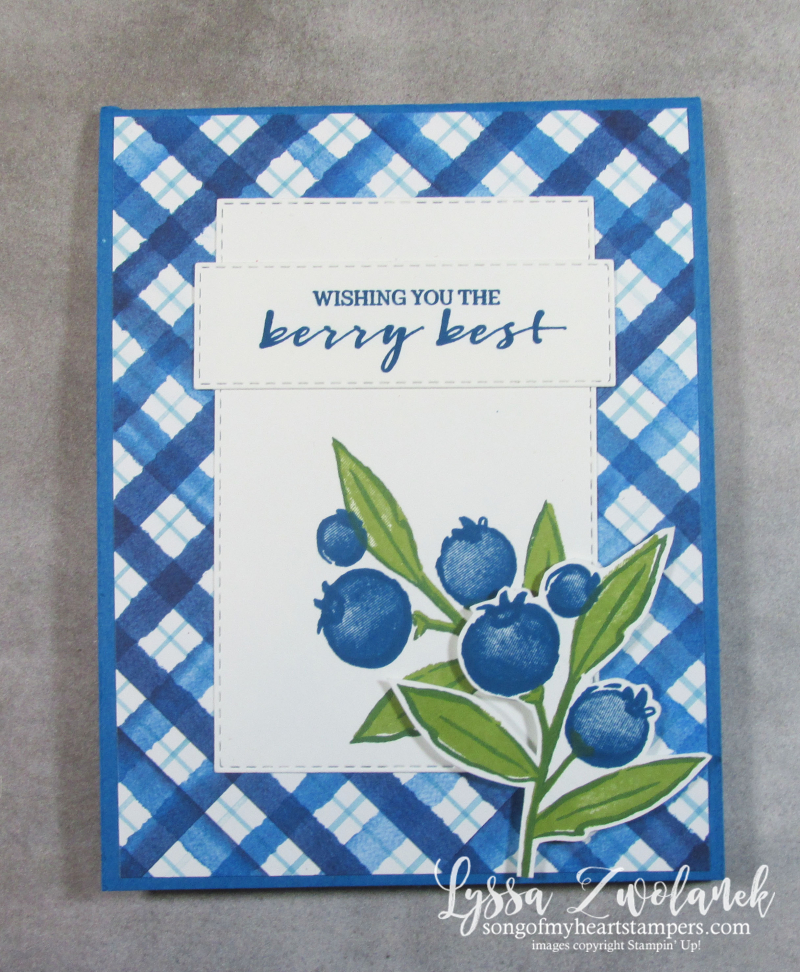 Blueberry blessings Saleabration Stampin Up checkered basket card stamps papers