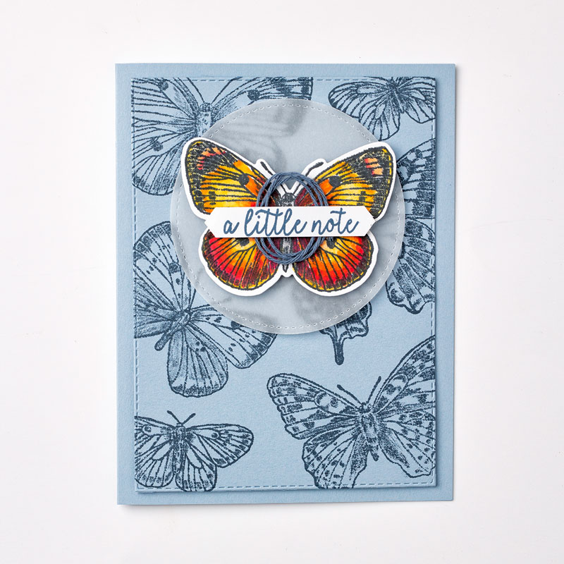 Butterfly Brilliance-Bundle_Individual-Sample_3