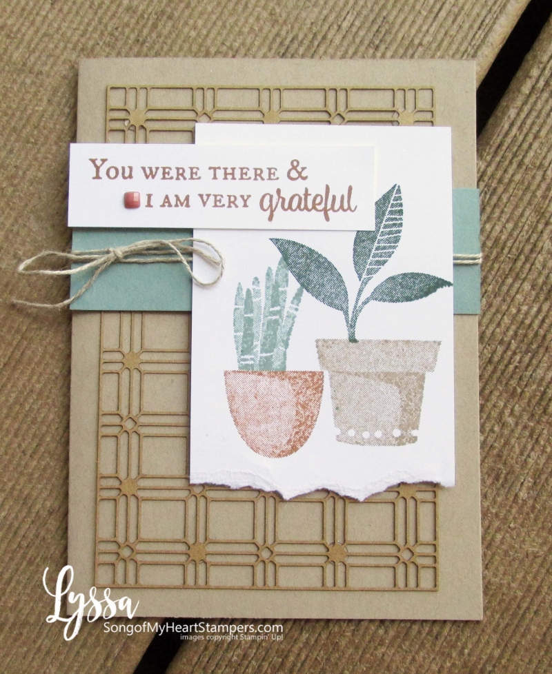 Bloom where planted hanging basket Stampin Up Lyssa houseplant succulents stamps