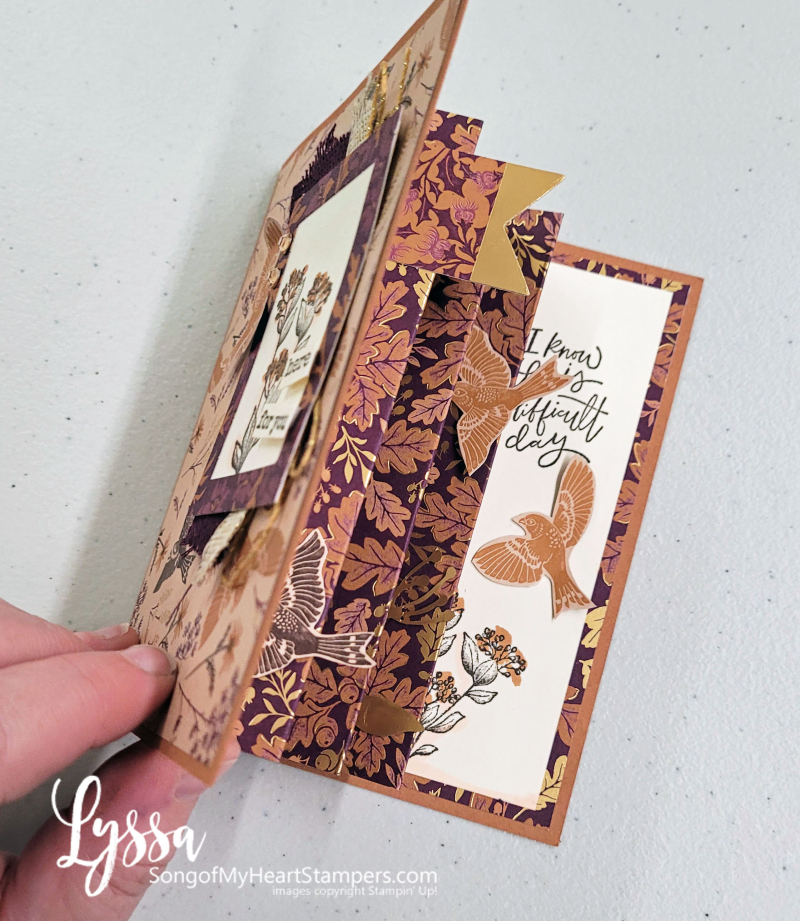 Blackberry meadow copper bliss Stampin Up owl harvest rubber stamps autumn fall Lyssa surprise accordion fancy fold